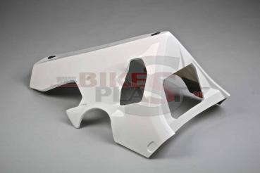 Bikesplast Unterteil für Racing Auspuffanlage Yamaha R1 2015-2019